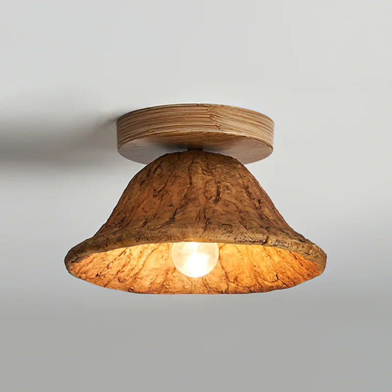 Teelin Ceiling Light