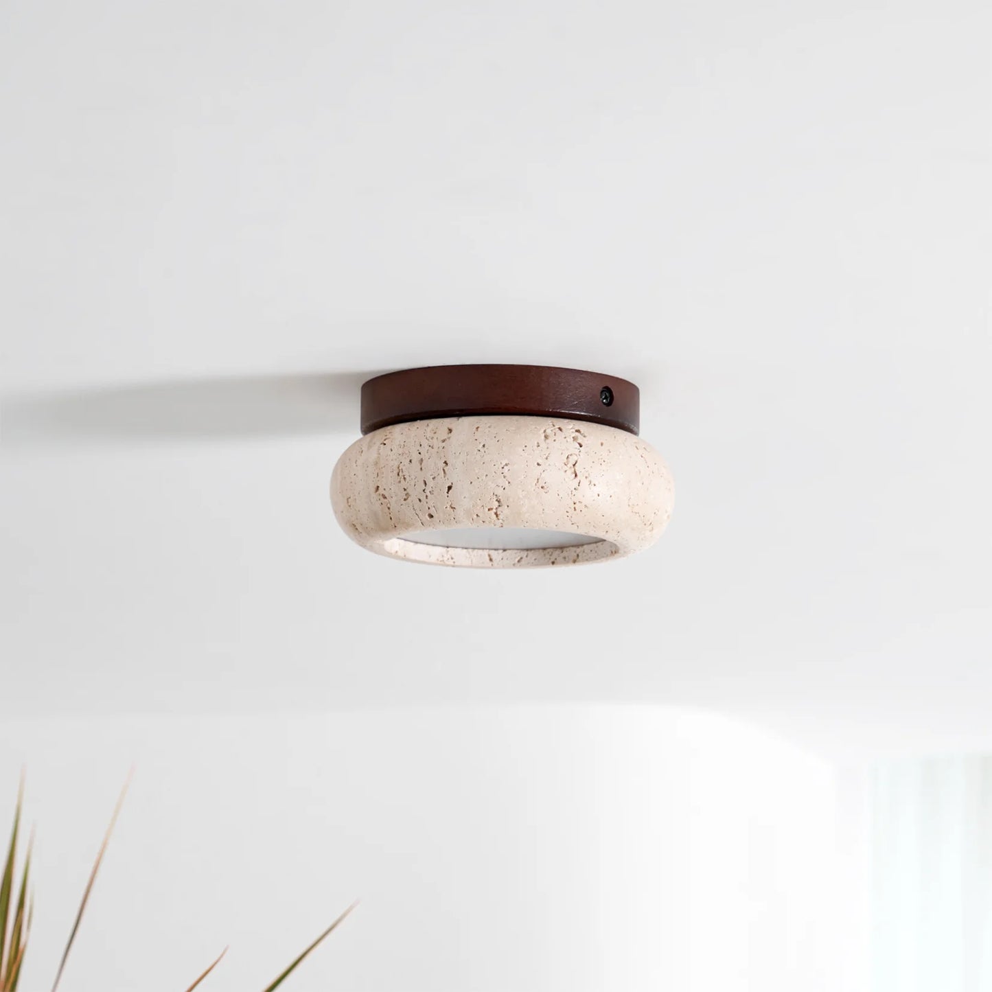 Cairns Ceiling Light