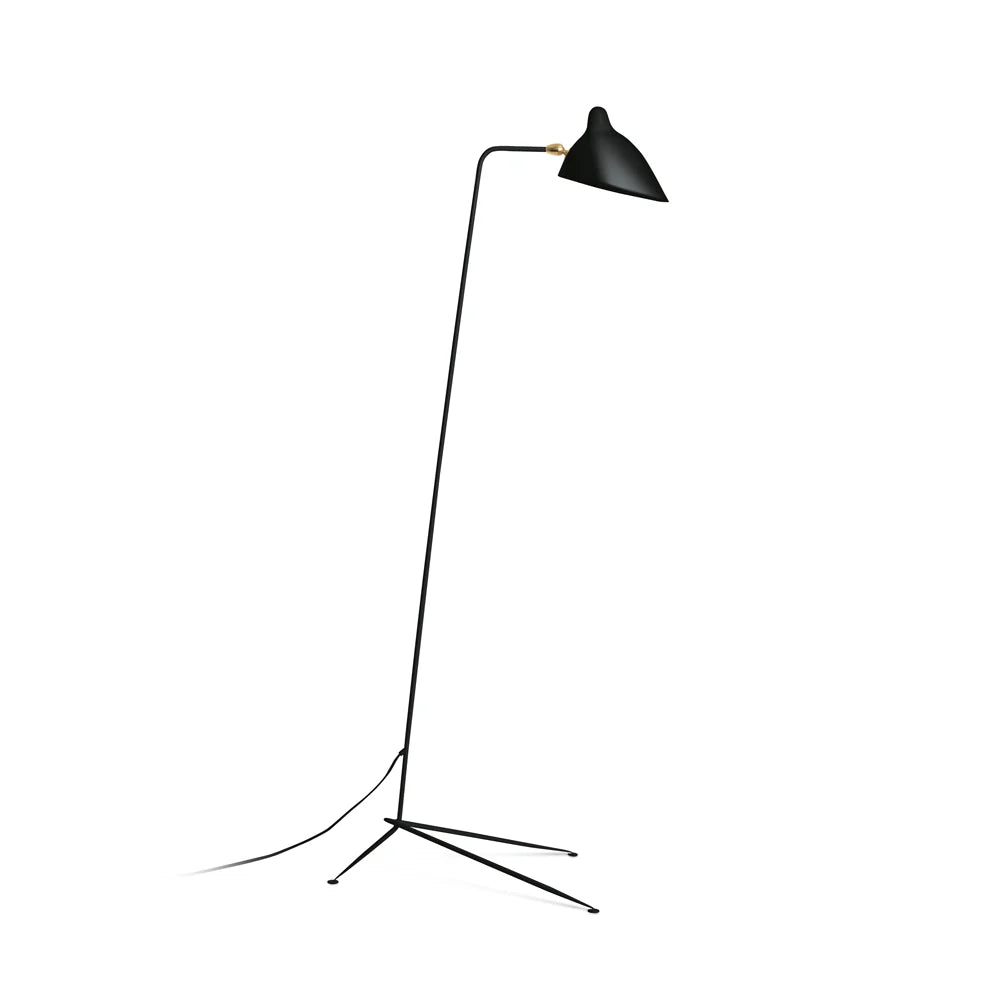 Multi Arm Spider Floor Lamp