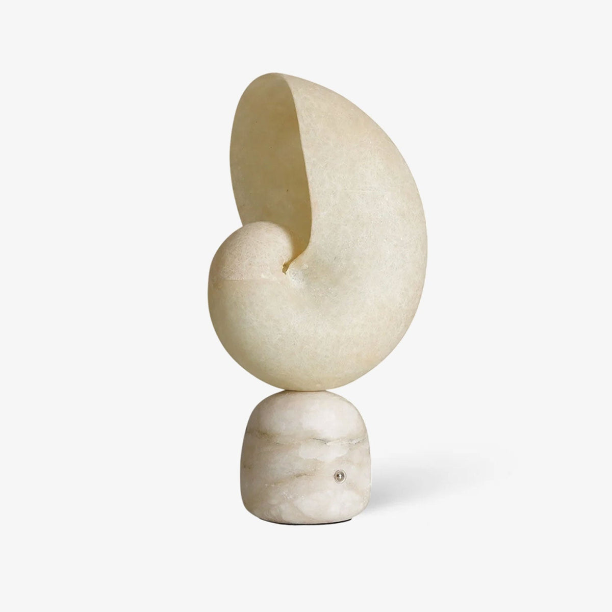 Lumora Shell Alabaster Table Lamp