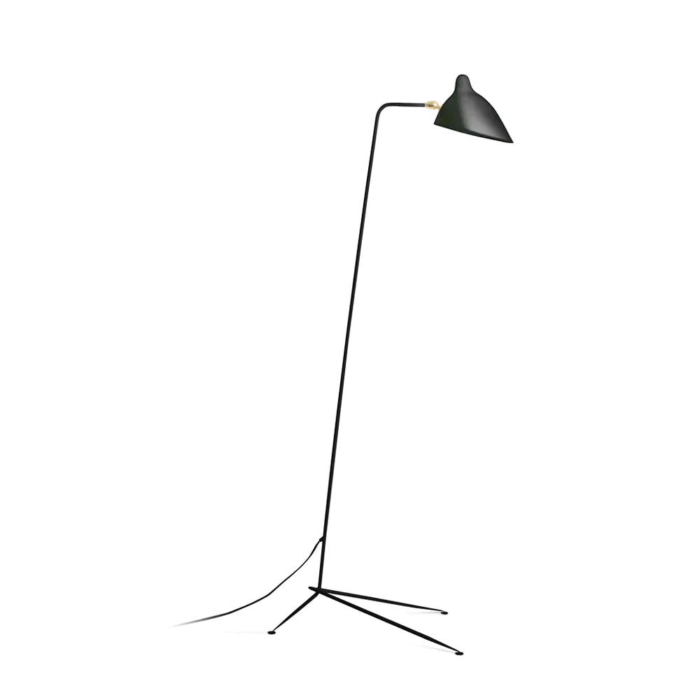 Multi Arm Spider Floor Lamp