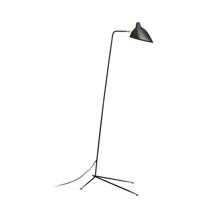Multi Arm Spider Floor Lamp