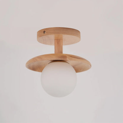 Plafon Ceiling Lamp