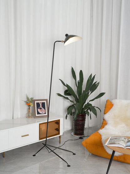 Multi Arm Spider Floor Lamp