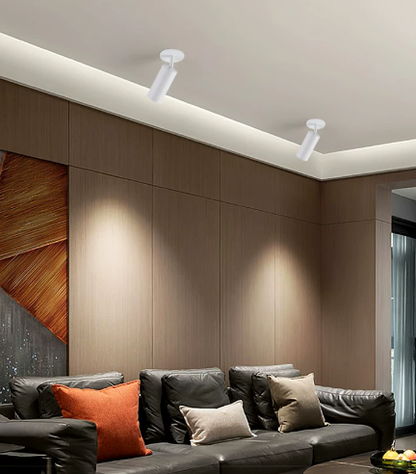 Smart Adjustable Gimbal Recessed Spotlight
