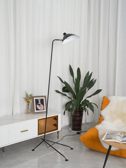 Multi Arm Spider Floor Lamp