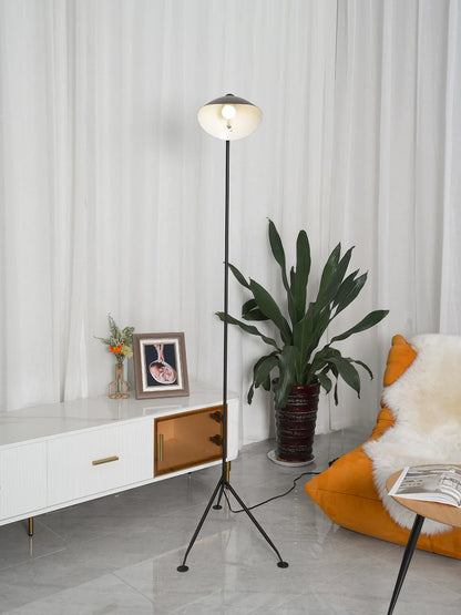 Multi Arm Spider Floor Lamp
