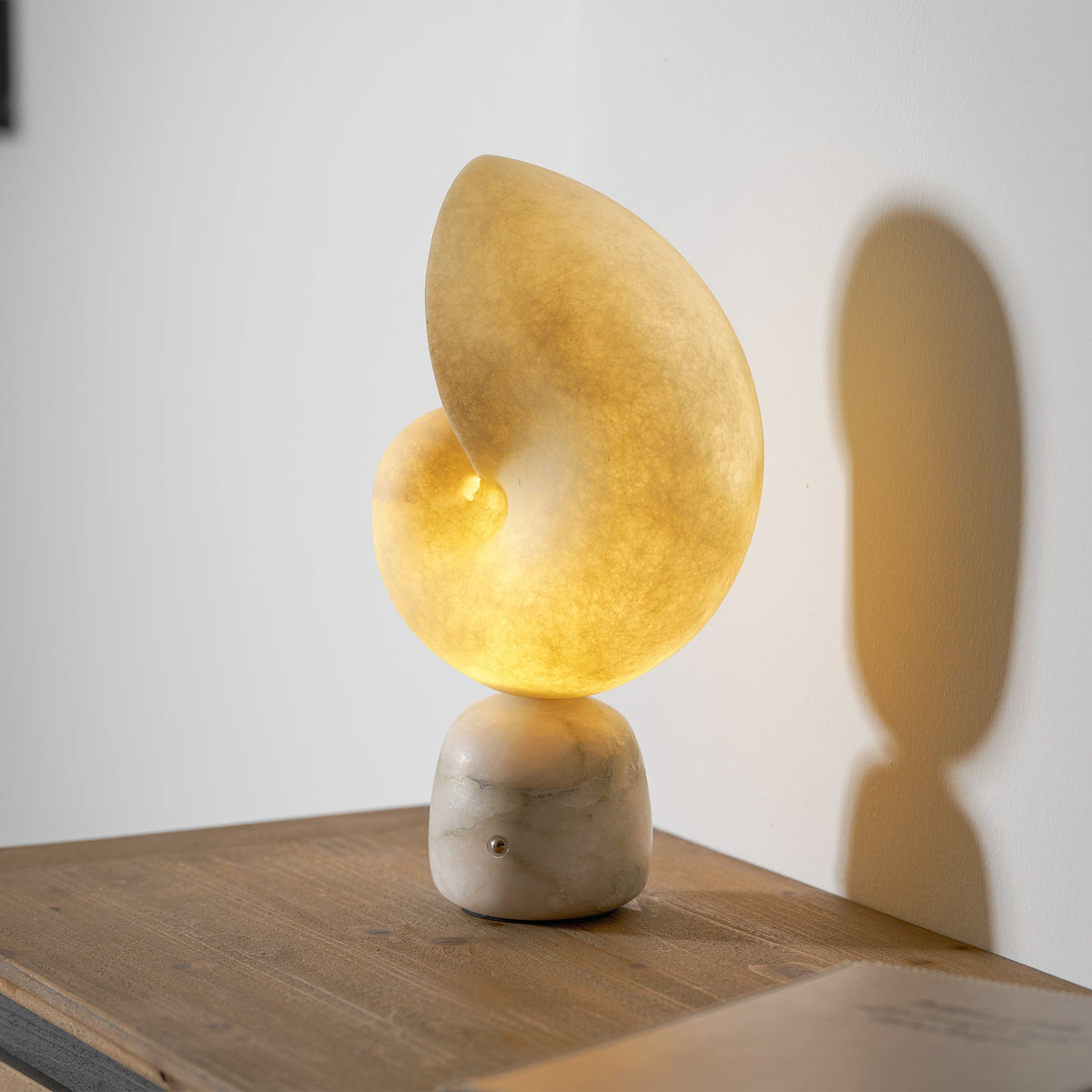 Lumora Shell Alabaster Table Lamp