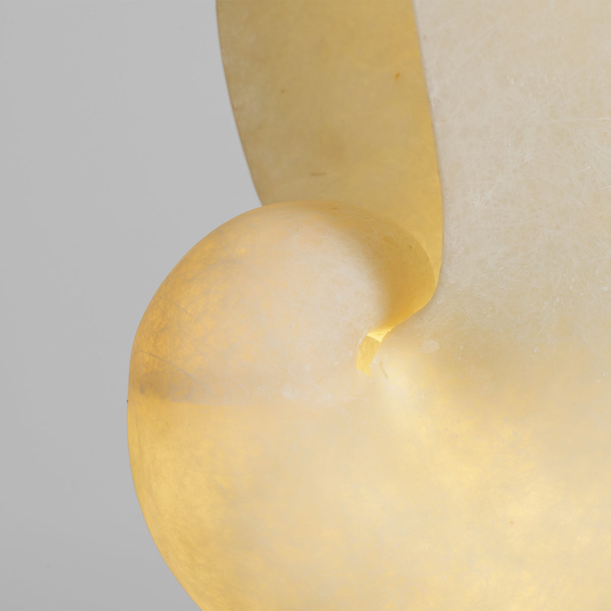 Lumora Shell Alabaster Table Lamp