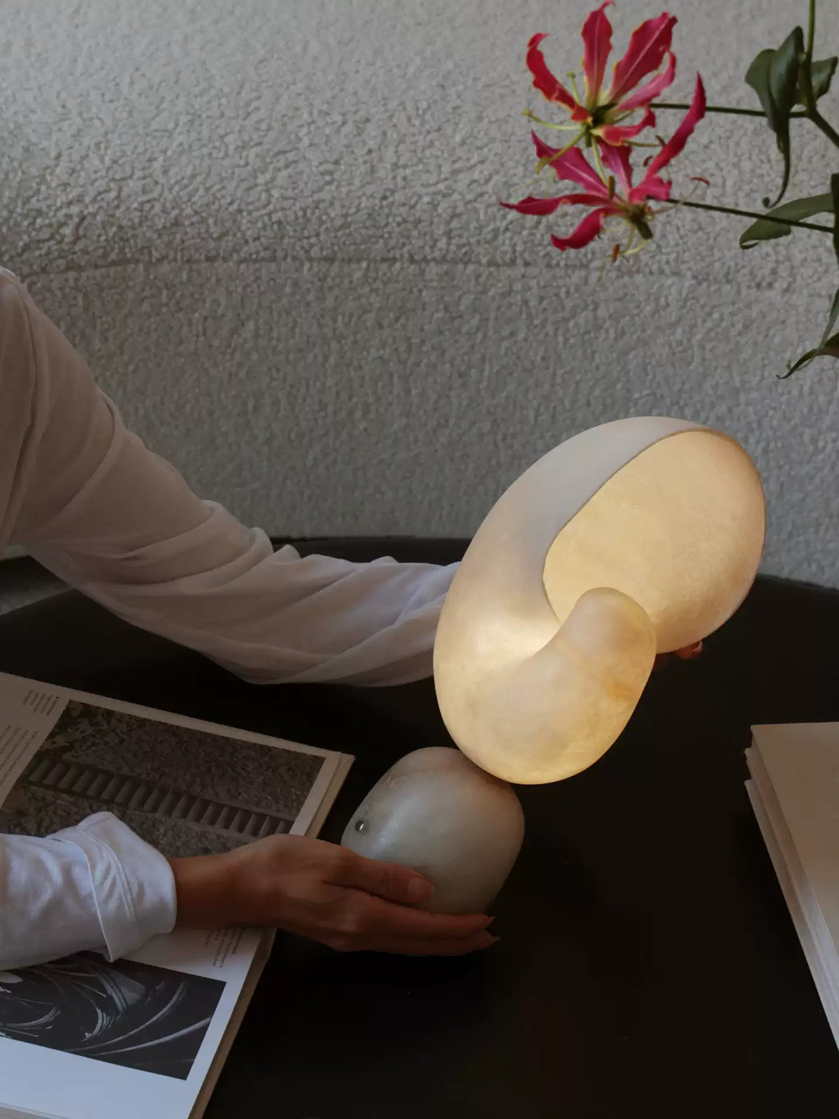 Lumora Shell Alabaster Table Lamp