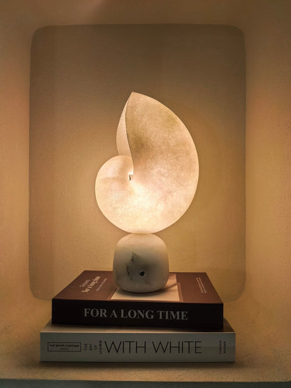 Lumora Shell Alabaster Table Lamp