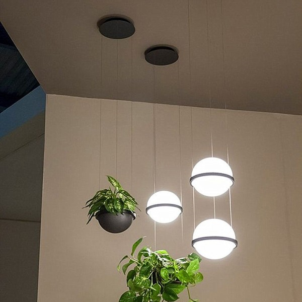 Palma Pendant Lamp hanging in UAE dining room